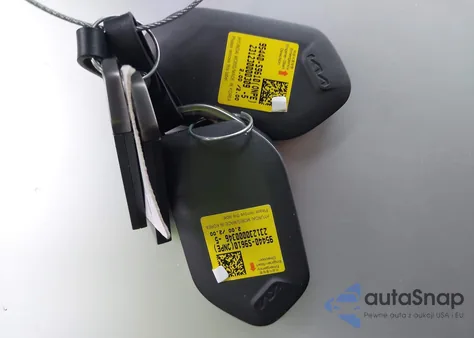 2024 Kia Telluride Sx Prestige X-Line from USA, damaged, VIN 5XYP5DGC2RG509618